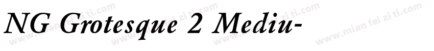NG Grotesque 2 Mediu字体转换